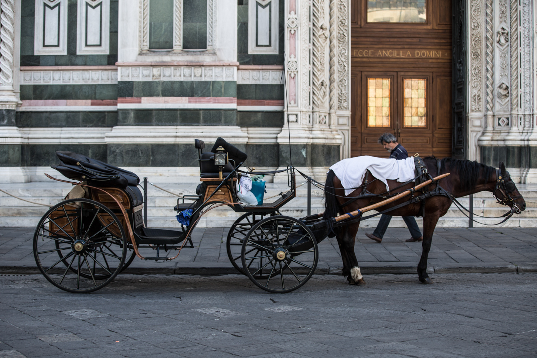 horse and carriage in Florence , Italy