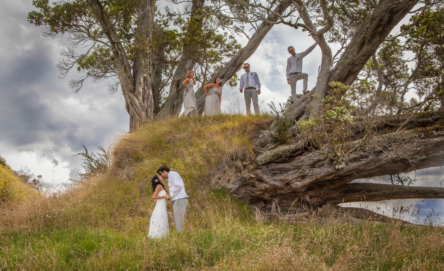 bride and groom embracing under the fallen tree in TePuna Tauranga